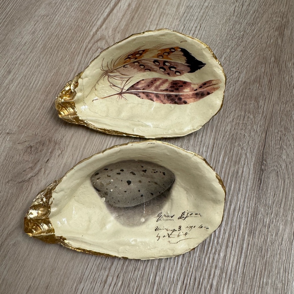 Source Unknown Decorative Shells with Gold and Natural Tones